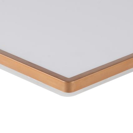 Brilagi - Luminaria LED de techo para baño ULTRA SLIM, 18W, 230V, 30x30 cm, oro rosa, IP54