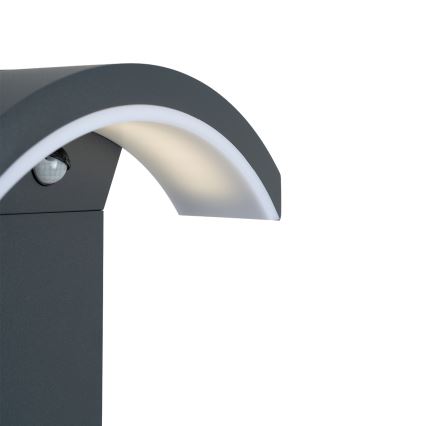 Brilagi - Lámpara LED exterior con sensor ARCELO LED/9W/230V 50 cm IP54
