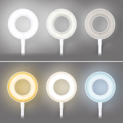 Brilagi - Lámpara LED regulable con pinza ORBELA LED/8W/5V 3000/4000/5000K blanca