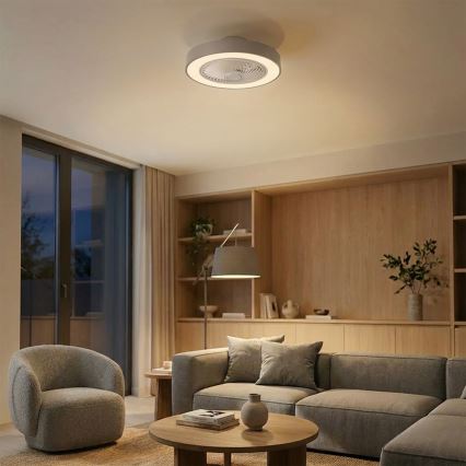 Brilagi - Lámpara de techo LED regulable con ventilador LED/38W/230V 3000-6500K Ø 50 cm gris + mando a distancia