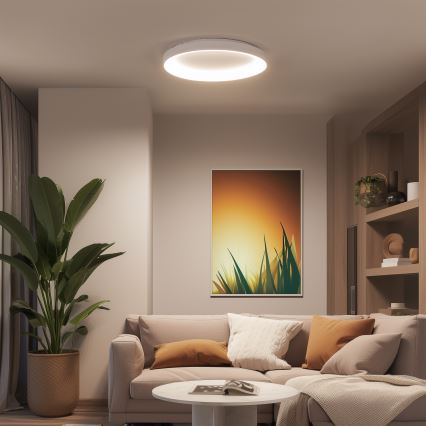 Brilagi - Lámpara de techo LED regulable FALCON II LED/108W/230V 3000-6500K Ø 80 cm blanca + mando a distancia