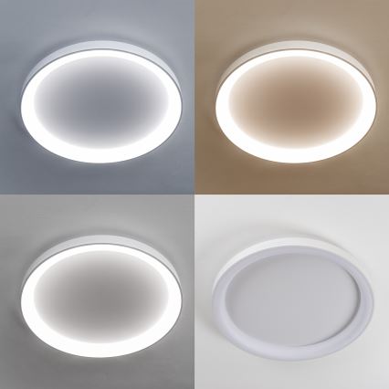 Brilagi - Lámpara de techo LED regulable FALCON II LED/108W/230V 3000-6500K Ø 80 cm blanca + mando a distancia