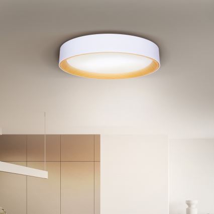 BRILAGI - Plafón LED regulable LARIOS LED/48W/230V 3000-6500K ø 39 cm blanco + control remoto