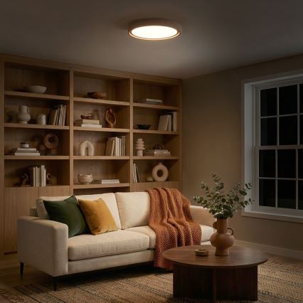 Brilagi - Lámpara de techo LED regulable MATTEO LED/48W/230V 3000-6500K diámetro 41 cm taupe + mando a distancia