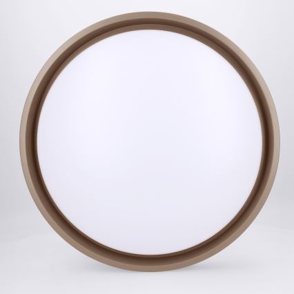 Brilagi - Lámpara de techo LED regulable MATTEO LED/48W/230V 3000-6500K diámetro 41 cm taupe + mando a distancia