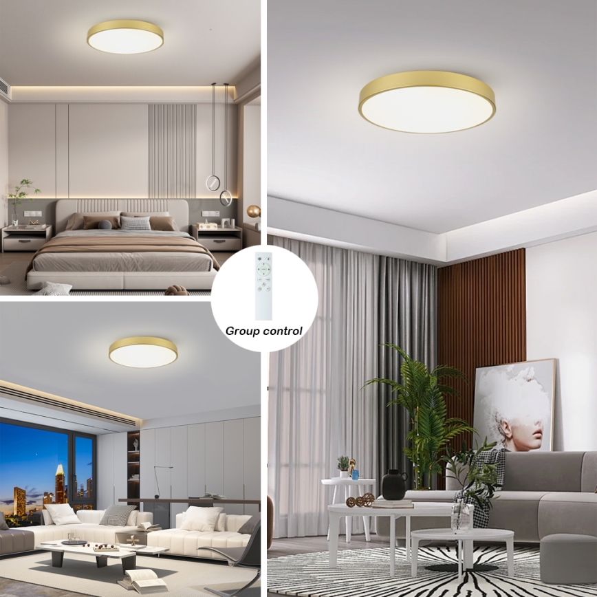 Brilagi - Luminaria de techo LED regulable POOL SMART LED/100W/230V 3000-6000K 80 cm dorado Wi-Fi Tuya + mando a distancia