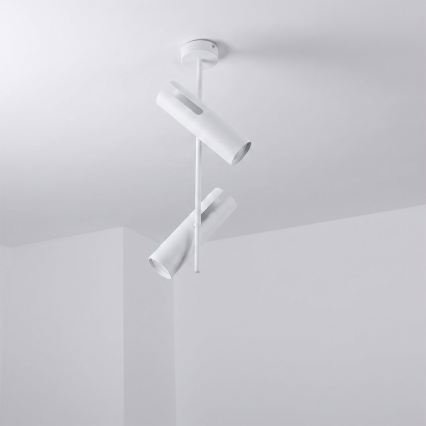 BRILAGI - Lámpara LED RGBW regulable en varilla BRANCH 2xGU10/6,5W/230V 2700-6500K blanca