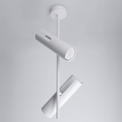 BRILAGI - Lámpara LED RGBW regulable en varilla BRANCH 2xGU10/6,5W/230V 2700-6500K blanca