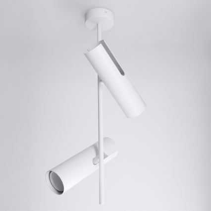 BRILAGI - Lámpara LED RGBW regulable en varilla BRANCH 2xGU10/6,5W/230V 2700-6500K blanca