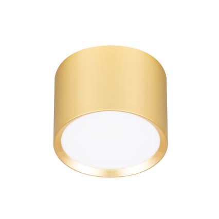 Brilagi - LED Foco SMOOTH 1xGX53/15W/230V, acabado dorado