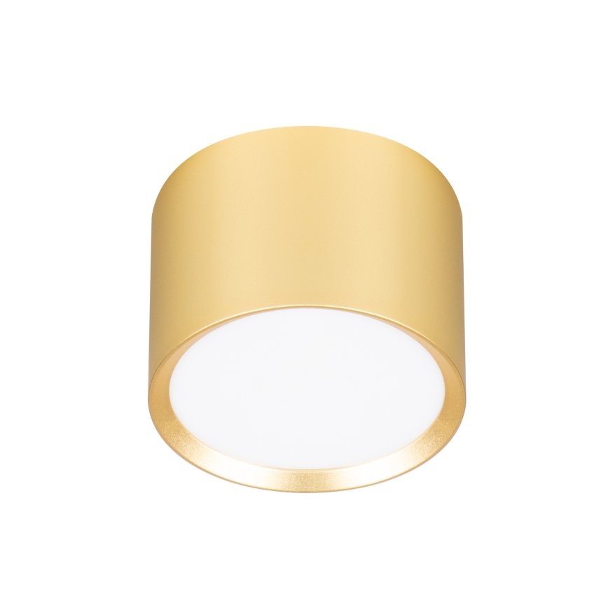 Brilagi - LED Foco SMOOTH 1xGX53/15W/230V, acabado dorado