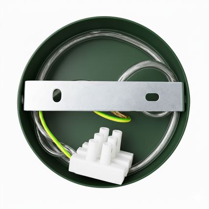 Brilagi - LED Lámpara colgante FLAMENGO 1xE27/60W/230V verde