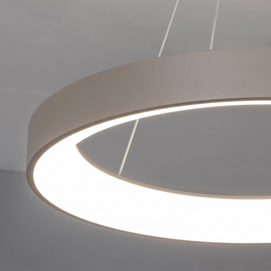 BRILAGI - LED Lámpara colgante regulable en cable FALCON II LED/99W/230V 3000-6500K Ø 60 cm beige + control remoto
