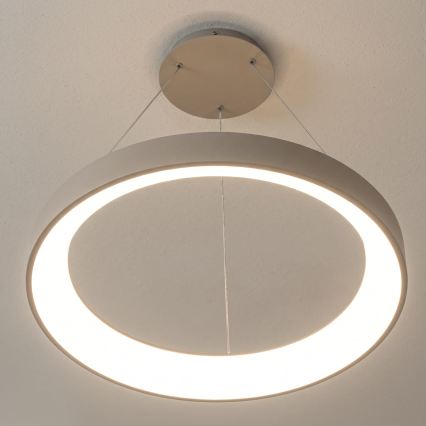 BRILAGI - LED Lámpara colgante regulable en cable FALCON II LED/99W/230V 3000-6500K Ø 60 cm beige + control remoto