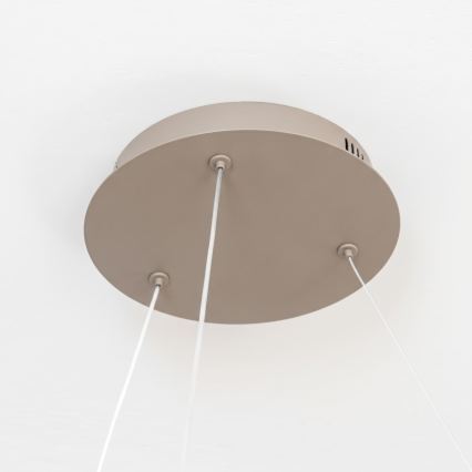 BRILAGI - LED Lámpara colgante regulable en cable FALCON II LED/99W/230V 3000-6500K Ø 60 cm beige + control remoto