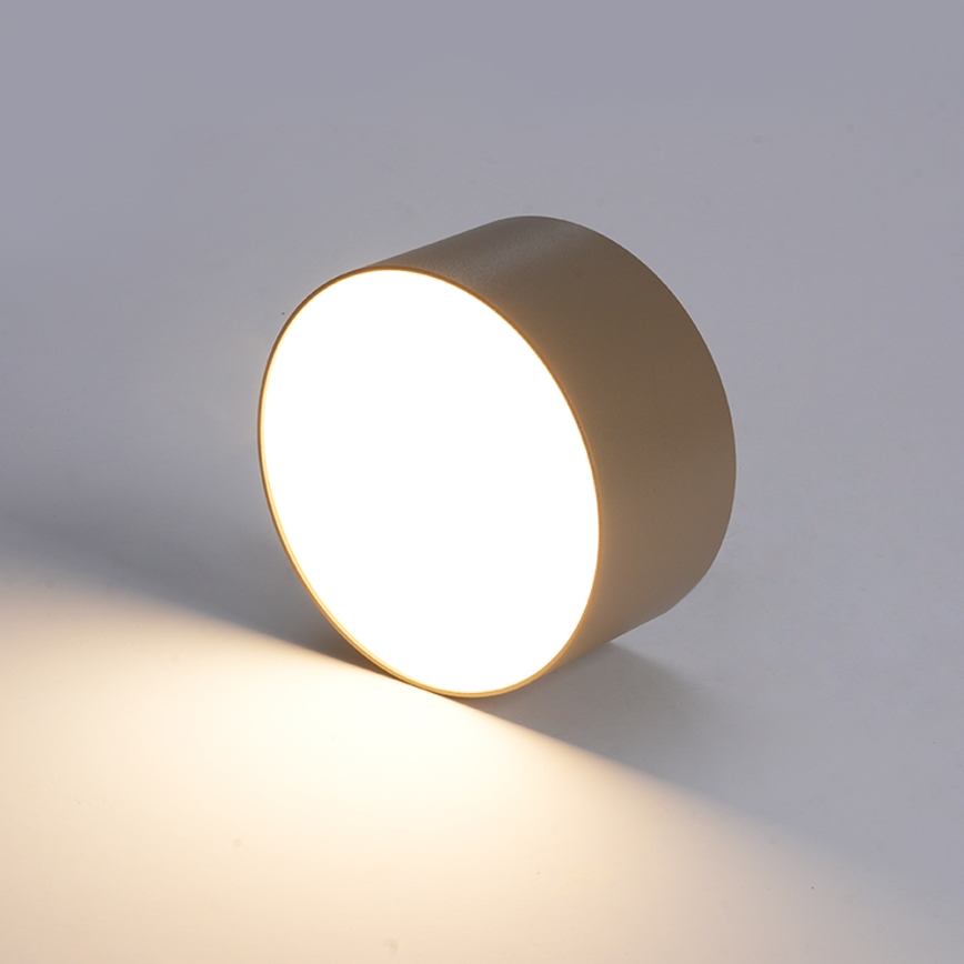BRILAGI - LED Lámpara de techo exterior FORIS LED/14W/230V Ø 12 cm beige IP44