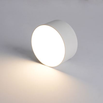 BRILAGI - LED Lámpara de techo exterior FORIS LED/14W/230V Ø 12 cm blanca IP44