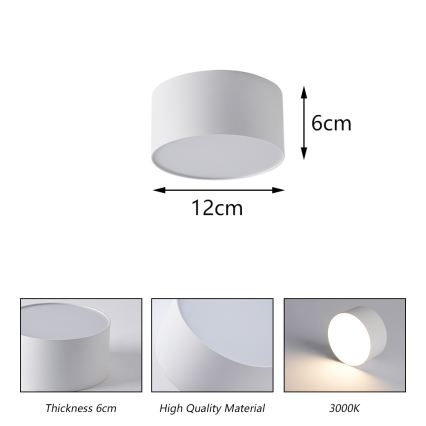 BRILAGI - LED Lámpara de techo exterior FORIS LED/14W/230V Ø 12 cm blanca IP44