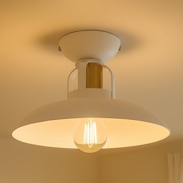 Brilagi - LED Lámpara de techo FLAMENGO 1xE27/60W/230V blanco