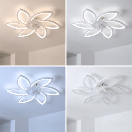 Brilagi - Lámpara de techo LED regulable con ventilador LED/50W/230V 3000-6500K blanca + mando a distancia