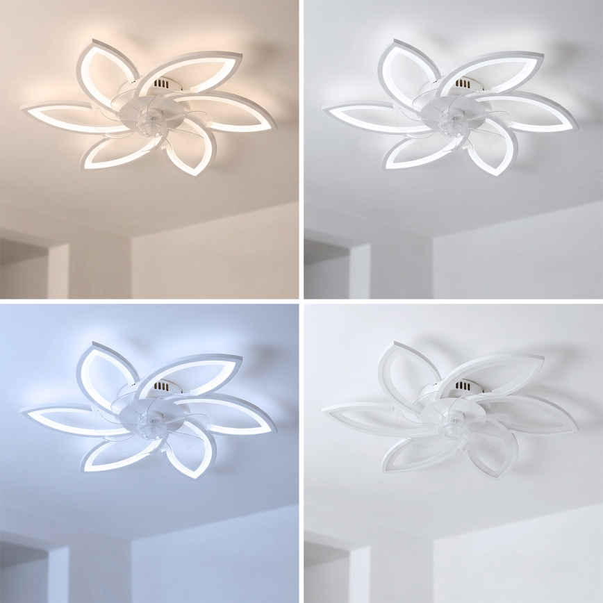 Brilagi - Lámpara de techo LED regulable con ventilador LED/50W/230V 3000-6500K blanca + mando a distancia