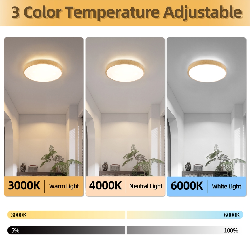 Brilagi - Lámpara de techo LED regulable GLASS POOL DOUBLE LED/48W/230V 3000-6000K 40 cm con acabado en madera + mando a distancia