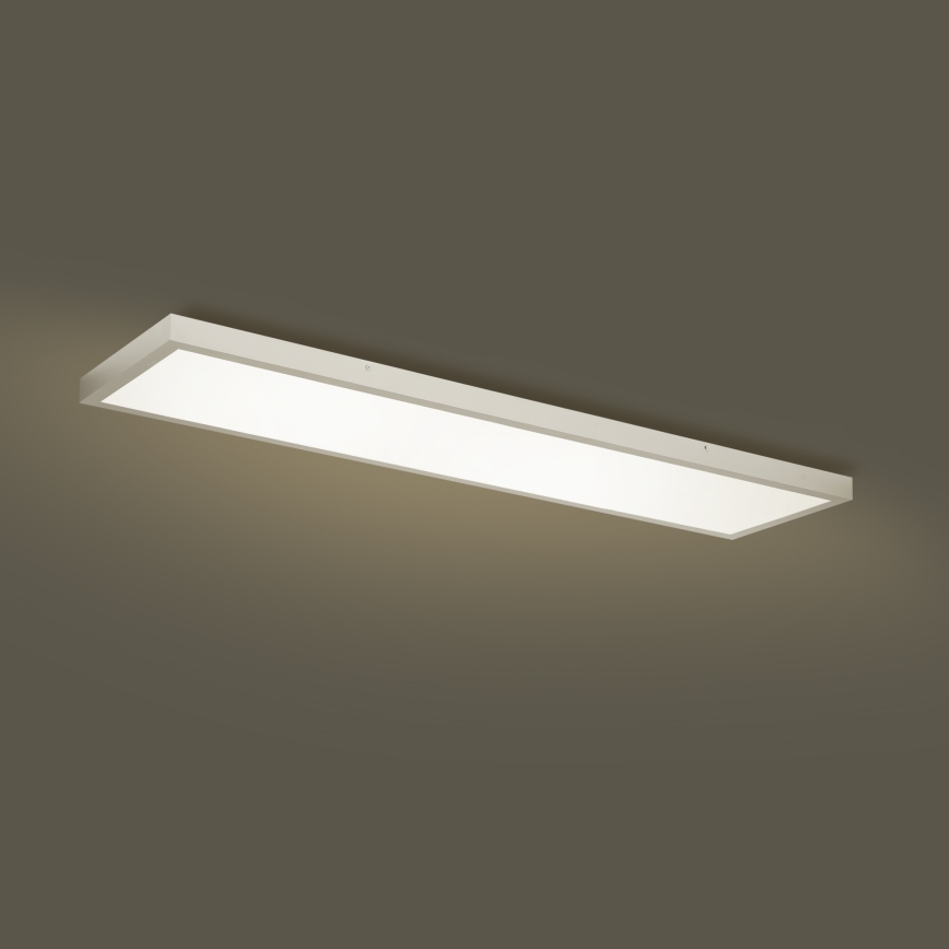 Brilagi - Lámpara LED regulable para techo de baño FRAME SMART LED/50W/230V 120x30 cm 3000-6000K IP44 plateada + mando a distancia