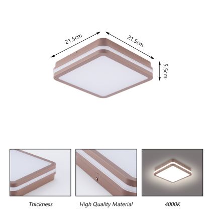 Brilagi - Luminaria de techo LED para exterior BENE LED/18W/230V 21,5x21,5 cm marrón IP54