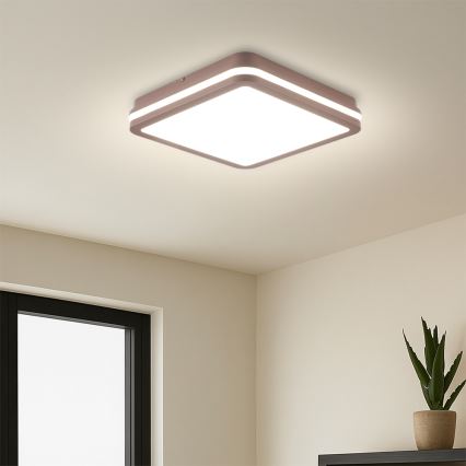 Brilagi - Plafón LED para exterior con sensor BENE LED/24W/230V 26x26 cm marrón IP54