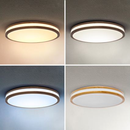 Brilagi - Lámpara de techo LED regulable MOLINA LED/72W/230V 3000-6500K roble Ø 78 cm + mando a distancia