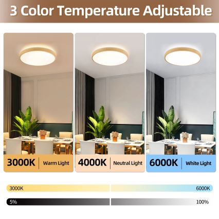 Brilagi - Lámpara de techo LED regulable GLASS POOL DOUBLE LED/60W/230V 3000-6000K 50 cm acabado en madera + mando a distancia