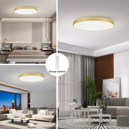 BRILAGI - Lámpara de techo LED regulable POOL SMART LED/128W/230V 3000-6000K 100 cm acabado dorado Wi-Fi Tuya + mando a distancia