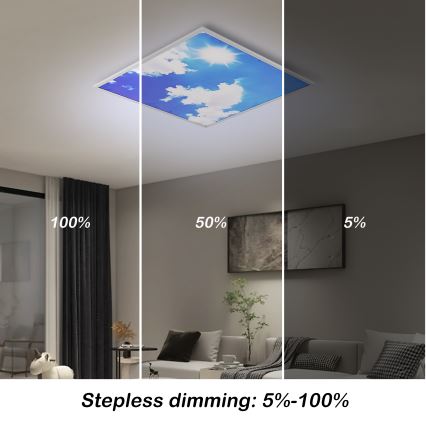 BRILAGI - Luminaria de techo LED regulable SLIMFRAME SKY LED/58W/230V 60x60 cm 3000-6000K plateado/azul + mando a distancia