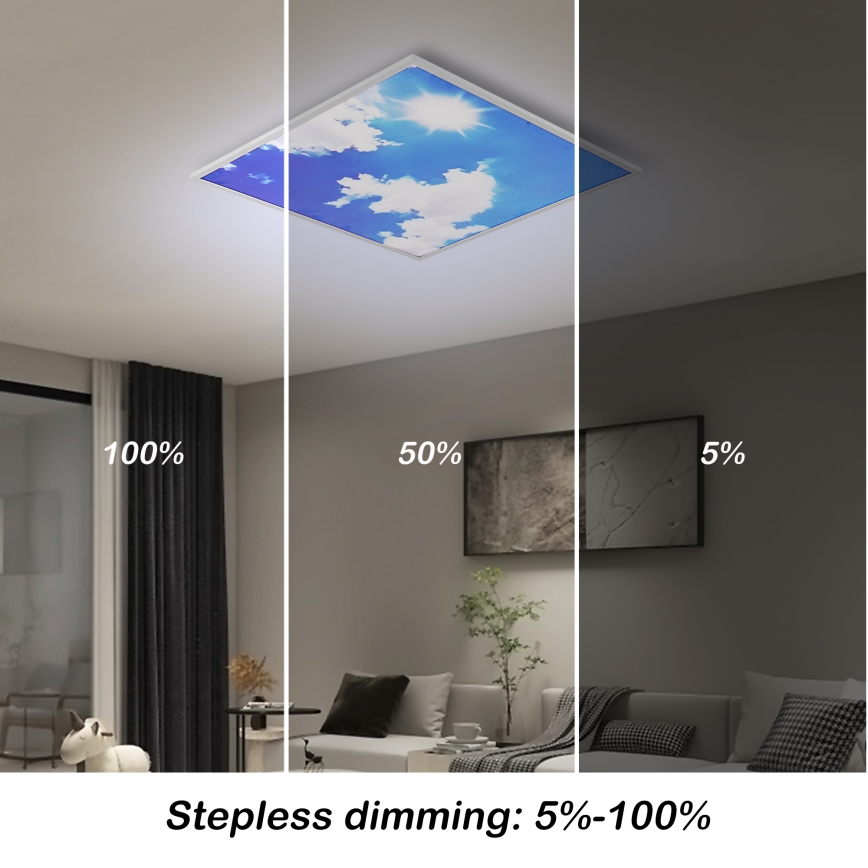 BRILAGI - Luminaria de techo LED regulable SLIMFRAME SKY LED/58W/230V 60x60 cm 3000-6000K plateado/azul + mando a distancia