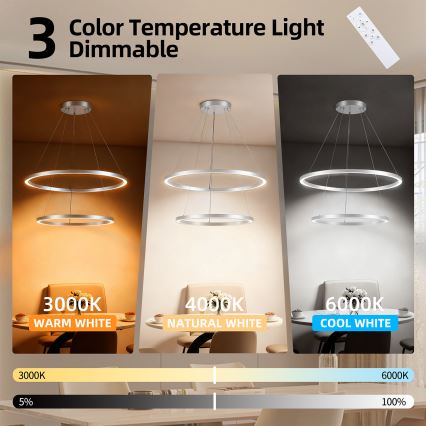 Brilagi - Lámpara colgante LED regulable suspendida por cable PORTOFINO LED/98W/230V 3000-6000K Ø 80 cm plateada + mando a distancia