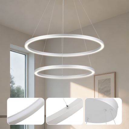 Brilagi - Lámpara colgante LED regulable suspendida por cable PORTOFINO LED/98W/230V 3000-6000K Ø 80 cm plateada + mando a distancia