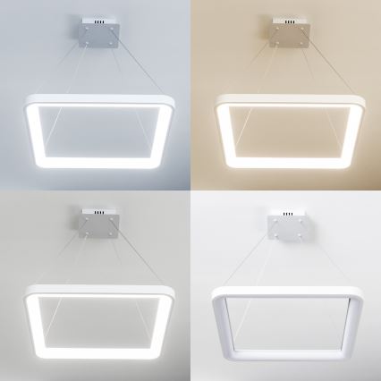 Brilagi - Lámpara colgante LED regulable con cable FALCON SLIM LED/50W/230V 3000-6500K 50x50 cm blanca + mando a distancia