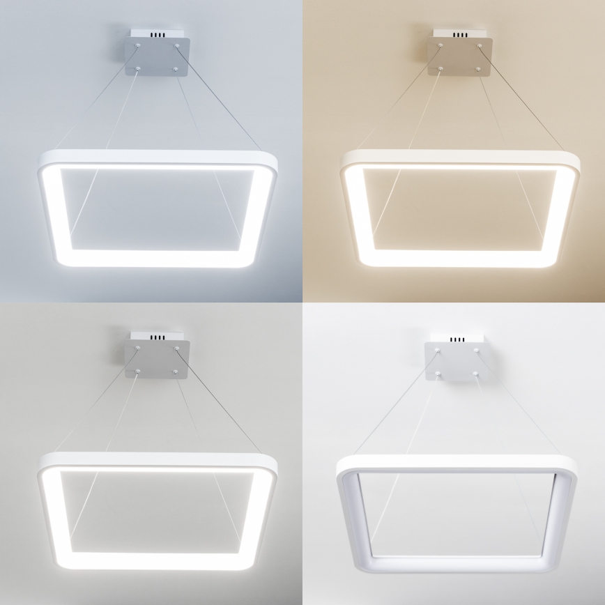 Brilagi - Lámpara colgante LED regulable con cable FALCON SLIM LED/50W/230V 3000-6500K 50x50 cm blanca + mando a distancia