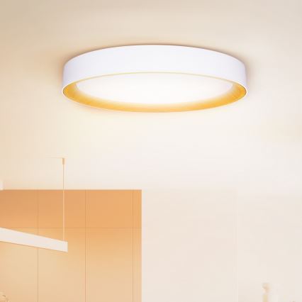 Brilagi - Luminaria de techo LED regulable LARIOS LED/72W/230V 3000-6500K blanca, diámetro 59 cm + mando a distancia