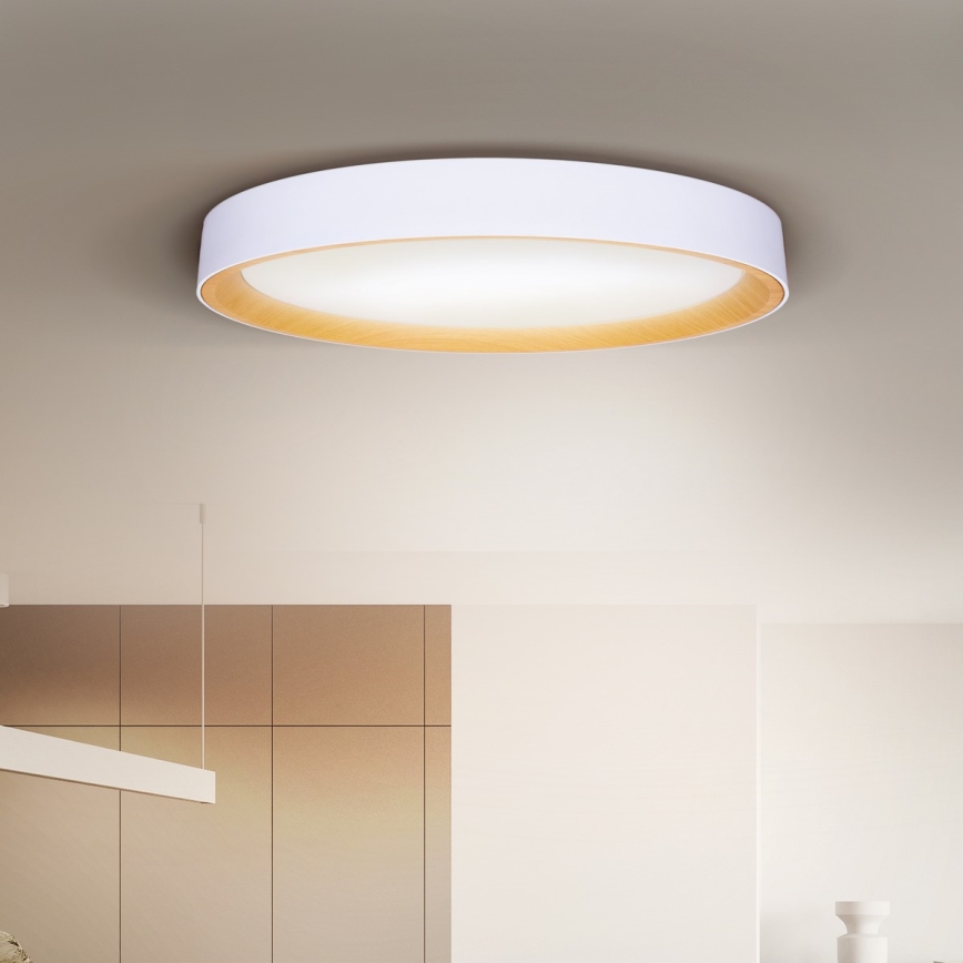 Brilagi - Luminaria de techo LED regulable LARIOS LED/72W/230V 3000-6500K blanca, diámetro 59 cm + mando a distancia