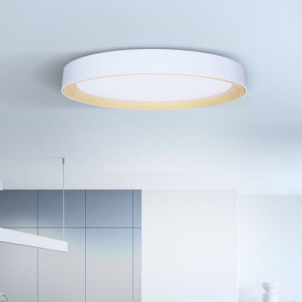 Brilagi - Luminaria de techo LED regulable LARIOS LED/72W/230V 3000-6500K blanca, diámetro 59 cm + mando a distancia