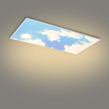 Brilagi - Luminaria de techo LED regulable SLIMFRAME SKY LED/80W/230V 120 x 60 cm 3000–6000 K plateado/azul + mando a distancia