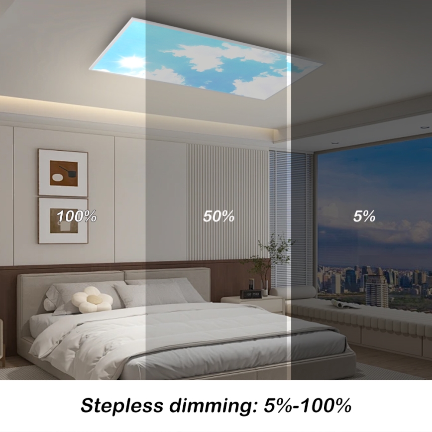Brilagi - Luminaria de techo LED regulable SLIMFRAME SKY LED/80W/230V 120 x 60 cm 3000–6000 K plateado/azul + mando a distancia