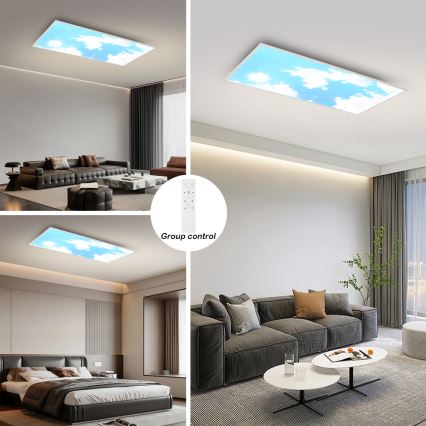Brilagi - Luminaria de techo LED regulable SLIMFRAME SKY LED/80W/230V 120 x 60 cm 3000–6000 K plateado/azul + mando a distancia