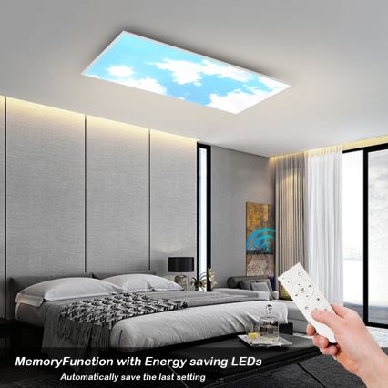 Brilagi - Luminaria de techo LED regulable SLIMFRAME SKY LED/80W/230V 120 x 60 cm 3000–6000 K plateado/azul + mando a distancia
