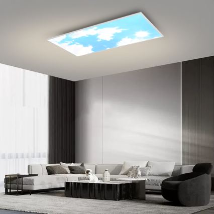 Brilagi - Luminaria de techo LED regulable SLIMFRAME SKY LED/80W/230V 120 x 60 cm 3000–6000 K plateado/azul + mando a distancia