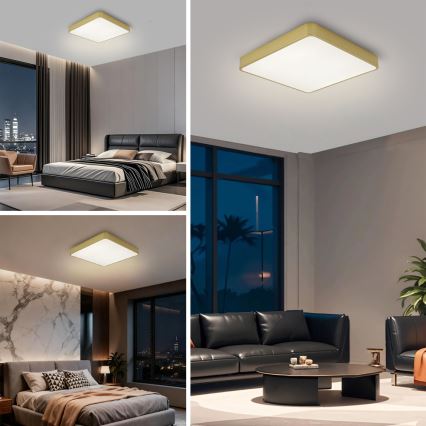 Brilagi - Luminaria de techo LED regulable POOL LED/48W/230V 3000-6000K 50x50 cm dorada + mando a distancia