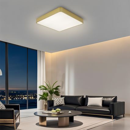Brilagi - Luminaria de techo LED regulable POOL LED/48W/230V 3000-6000K 50x50 cm dorada + mando a distancia
