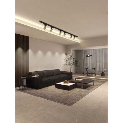 Brilagi - Luminaria de focos para sistema de riel HUSKY 6xGU10/10W/230V negro/dorado