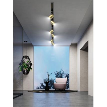 Brilagi - Luminaria de focos para sistema de riel HUSKY 6xGU10/10W/230V negro/dorado
